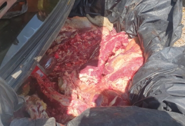 Las autoridades confirman que la carne fue incautada en la vereda Boca de Tigre. Foto: Cortesía Ganadería, ganadería colombia, noticias ganaderas, noticias ganaderas colombia, CONtexto ganadero, Abigeato, carneo, Abigeato en el Cesar, carneo en el cesar, control abigeato en el cesar, control carneo en el cesar, inseguridad en el cesar, control inseguridad en el cesar, incautación de carne en el cesar, carne ilegal en el cesar