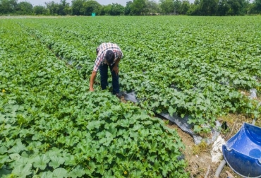 Se van a invertir $27 000 millones para que regrese el agua a ambos distritos de riego. Foto: revistadnotas.blogspot.com Ganadería, ganadería colombia, noticias ganaderas, noticias ganaderas colombia, CONtexto ganadero, Distritos de riego, riego atlántico, distritos de riego en el atlántico, operación distritos de riego atlántico, Elsa Noguera, Gobernación del Atlántico