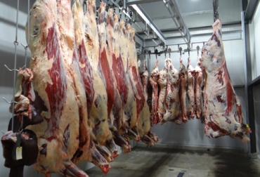 En la actualidad, hay 233 frigoríficos entre totalmente habilitados y provisionalmente autorizados para realizar sacrificio de bovinos. Foto: pxhere.com Decreto 1500 últimos datos, sacrificio bovino, plantas beneficio bovinos, Decreto 1500 noviembre 2020, Contexto ganadero decreto 1500, decreto 1500 2020, estatus decreto 1500 2020, decreto 1500 de 2007, estatus plantas de sacrificio 2020, vigencia decreto 1500 plantas de beneficio, demoras decreto 1500, estado plantas de sacrificio del país, Invima, ganaderos, ganaderos colombia, ganado, bovinos, ganado bovino, Ganadería, ganadería colombia, noticias ganaderas, noticias ganaderas colombia, CONtexto ganadero