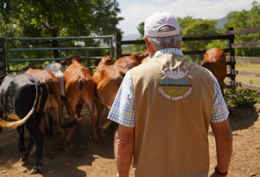 La alcaldía de Cúcuta le apuesta al desarrollo de su zona rural por medio de un programa de mejoramiento genético para los ganaderos de la región. Foto: Alcaldía de Cúcuta alcaldía de cúcuta, San Faustino, Guaramito, ganaderos, producción de leche, producción de carne, mejoramiento genético, Reproducción Bovina, capacitación, emprendimiento, valor agregado, ASOGASAFA, insumos, productividad, Buenas Prácticas, Ganadería, ganadería colombia, noticias ganaderas colombia, CONtexto ganadero