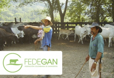 Foto: elcampesino.co ganaderos, arauca, fedegan,