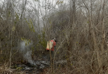 Las altas temperaturas tienen en alerta a las autoridades del departamento. Foto: Cormagdalena. Ganadería, ganadería colombia, noticias ganaderas, noticias ganaderas colombia, CONtexto ganadero, Magdalena, sequía magdalena, ganaderos magdalena, corpomag, corpomag sequía magdalena