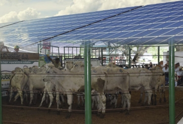 Al cabo de dos meses, tres sedes de Subastar S. A. generarán su propia energía gracias a la instalación de paneles solares, un esfuerzo que se basa en uno de los pilares de la administración de ser más amigables con el medio ambiente. Foto: facebook.com/SUBASTARSA - Cortesia paneles solares, panel solar, ventajas panel solar, definición ordeño móvil, ordeño panel solar Colombia, paneles solares Colombia, tecnología ganadera, Subastar, Subastar paneles solares, Subastar Colombia, Subastar ganadería, Subastar medio ambiente, ganadería medio ambiente, ganaderos, ganaderos colombia, ganado, bovinos, ganado bovino, Ganadería, ganadería colombia, noticias ganaderas, noticias ganaderas colombia, CONtexto ganadero, contextoganadero