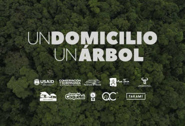 El proyecto espera sembrar 100 000 árboles este año. Foto: Grupo Takami. Ganadería, ganadería colombia, noticias ganaderas, noticias ganaderas colombia, CONtexto ganadero, un domicilio un árbol, un domicilio un árbol grupo takami, un domicilio un árbol caquetá, siembra de árboles caquetá, Programa de Conservación y Gobernanza de Patrimonio Natural, Comité de Ganaderos del Caquetá, Ganaderos de Caquetá, Rafael Torrijos