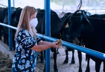 El proyecto tuvo un costo de $1.000 millones y contó el apoyo del Ministerio de Agricultura. Foto: Gobernación del Atlántico. Ganadería, ganadería colombia, noticias ganaderas, noticias ganaderas colombia, CONtexto ganadero, Silo, silo atlántico, centro de silo atlántico, silo para ganaderos del atlántico, forraje ganaderos del atlántico,