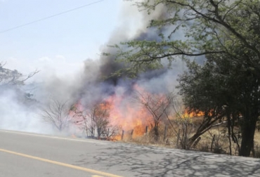 Los productores de La Guajira le temen al aumento de los incendios forestales causados por el inclemente verano. Foto: laguajirahoy.com Ganadería, ganadería colombia, noticias ganaderas, noticias ganaderas colombia, CONtexto ganadero, Verano, verano en La Guajira, sequía en La Guajira, falta de comida en la guajira, reserva de alimentos en la Guajira, Falta de agua en La Guajira, incendios forestales en La Guajira