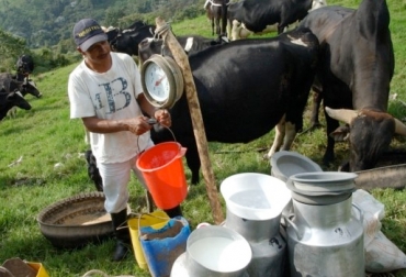 El precio de los insumos han subido más del 30 % en los últimos 3 años. Foto: cadenalacteausta.blogspot.com. Ganadería, ganadería colombia, noticias ganaderas, noticias ganaderas colombia, CONtexto ganadero, precio de la leche, leche en boyacá, ganaderos de Boyacá, lechería boyacá, ganadería boyacá, precio insumos, precio de los insumos de la leche, precio de los concentrado