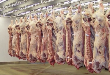 En 2020, alrededor de 60 plantas perdieron la autorización provisional que recibieron gracias a la ampliación de plazos que otorgó el Decreto 1975 de 2019. Foto: violetastereo.com Decreto 1975 marzo 2021, decreto 1975 2021, Decreto 1500 últimos datos, sacrificio bovino, plantas beneficio bovinos, Decreto 1500 marzo 2021, Contexto ganadero decreto 1975, decreto 1500 2021, estatus decreto 1500 2021, decreto 1500 de 2007, estatus plantas de sacrificio 2020, vigencia 3 años decreto 1500 plantas de beneficio, demoras decreto 1500, estado plantas de sacrificio del país, Invima, panorama plantas de sacrificio, ganaderos, ganaderos colombia, ganado, bovinos, ganado bovino, Ganadería, ganader