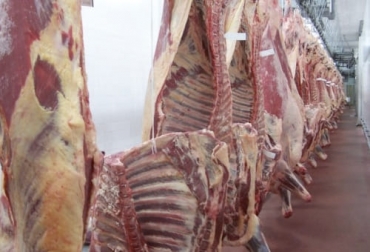 Las 9 plantas de beneficio autorizadas para exportar a Arabia Saudita están distribuidas en 6 departamentos. Foto: zenuradio.com Plantas de beneficio Colombia Arabia Saudita, plantas colombianas carne Arabia Saudita, Red Cárnica de Athena Foods, Ciénaga de Oro, Ministro de Agricultura, puerto de King Abdullah, exportaciones de carne, exportaciones de carne colombia, envío de carne a arabia saudita, Arabia Saudita, colbeef, red cárnica, frigosinú, Frigocolanta, Ministerio de Agricultura, jorge quintero pimentel, Invima, ICA, ganaderos, ganaderos colombia, ganado, bovinos, ganado bovino, Ganadería, ganadería colombia, noticias ganadera