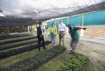 El propósito es producir material vegetal para fortalecer la capacidad de recuperación de los ecosistemas del departamento. Foto: Gobernación de Boyacá. Ganadería, ganadería colombia, noticias ganaderas, noticias ganaderas colombia, CONtexto ganadero, reforestación, reforestación en boyacá, reforestación en colombia, deforestación en boyacá, 30000 plántulas boyacá, árboles boyacá,