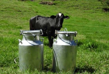 En el departamento esperan que apoyo de las Fuerzas Militares para lograr sacar el lácteo atrapado en varias poblaciones. Foto: Cortesía. Ganadería, ganadería colombia, noticias ganaderas, noticias ganaderas colombia, CONtexto ganadero, leche, leche antioquia, leche represada antioquia por el paro, 2 millones de litros de leche represados en antioquia, Gobernación de Antioquia, sacar leche de antioquia en helicoptero
