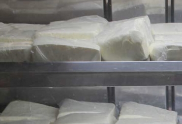 Los productores de Putumayo manifestaron que han tenido serias dificultades para sacar queso y otros productos de sus municipios. Foto: plazalaamerica.com ganaderos putumayo, Cadena láctea afectada por bloqueos, bloqueos 2021, bloqueos paro nacional 2021, paro nacional, paro nacional 2021, productores Putumayo 2021, ganaderos Putumayo afectados por bloqueos, ganado bovino, ganadería bovina, ganaderos, ganaderos colombia, ganado, vacas, vacas Colombia, bovinos, Ganadería, ganadería colombia, noticias ganaderas, noticias ganaderas colombia, CONtexto ganadero, contextoganadero