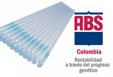 Los ganaderos de Colombia podrán adquirir pajillas con grandes descuentos gracias a la oferta de ABS como parte de su iniciativa del Mes de Solidaridad Ganadera. Foto: Cortesía ABS, Almagán, venta virtual, pajillas, toros, pastoreo, adaptabilidad, trópico, fertilidad, flujo de caja, empresa ganadera, carne, leche, Inseminación, embriones, silvopastoriles, Genética, paro nacional 2021, ABS venta de pajillas, ABS Colombia, descuentos en pajillas Colombia, descuentos, venta pajillas, ganado bovino, ganadería bovina, ganaderos, ganaderos colombia, ganado, vacas, vacas Colombia, bovinos, Ganadería, ganadería colombia, noticias ganaderas, noticias ganaderas colombia, CONtexto ganadero