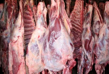 El aumento del precio de la carne en Norte de Santander conllevó a que incrementara el contrabando de la proteína desde Venezuela. Foto: old.nvinoticias.com. Ganadería, ganadería colombia, noticias ganaderas, noticias ganaderas colombia, CONtexto ganadero, Contrabando, contrabando norte de santander, contrabando carne norte de santander, josé helí soto, ganadería norte de santander, contrabando de carne, carne venezolana