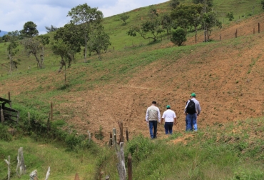 La iniciativa beneficiará a 100 pequeños productores. Foto: Gobernación de Santander. Ganadería, ganadería colombia, noticias ganaderas, noticias ganaderas colombia, CONtexto ganadero, ganadería sostenible santander, Secretaría de Agricultura y Desarrollo Rural de Santander, Corporación de Plásticos Agrícolas, Corpoagro, Corporación Autónoma Regional de Santander Implementación de Sistemas Productivos Silvopastoriles con Enfoque de Desarrollo Bajo en Carbono y Resiliente al Clima, El Palmar, hato, PÁRAMO, oiba, Suaita, Gámbita, Chimá