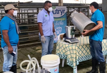 Los evaluadores del concurso organizado por CCLC realizan las mediciones en finca, con lo cual se conoce qué tan produce la vaca en las condiciones habituales. Foto: CCLC Concurso lechero 2021, CCLC, Comité de Cebuínos Lecheros y sus Cruces, concurso lechero, concurso de ordeño, reinvención concurso de ordeño, nueva modalidad de concursos, Pandemia, concurso ordeño cordoba, ganado bovino, ganadería bovina, carne, leche, ganaderos, ganaderos colombia, ganado, vacas, vacas Colombia, bovinos, Ganadería, ganadería colombia, noticias ganaderas, noticias ganaderas colombia, CONtexto ganadero, contextoganadero