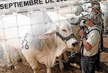 El noveno mes de 2021 viene cargado con un gran número de encuentros feriales y acádemicos para los ganaderos y los amantes de los equinos. Foto: larazon.co - blankcalendarpages.com Eventos ganaderos septiembre 2021, Eventos ganaderos 2021, feria ganadera Bucaramanga 2021, Congreso de Alimentación y Nutrición en ganado bovino de carne y leche, cursos ganaderos, eventos 2021, Expobrangus del Caribe, asociación angus y brangus, ganado bovino, ganadería bovina, carne, leche, ganaderos, ganaderos colombia, ganado, vacas, vacas Colombia, bovinos, Ganadería, ganadería colombia, noticias ganaderas, noticias ganaderas colombia, CONtexto ganadero, contextoganadero