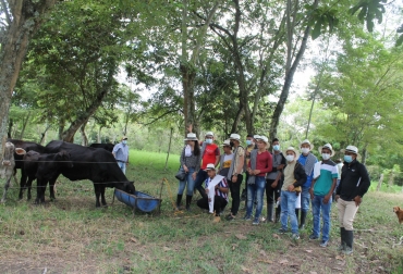 La iniciativa logró un cambio en un 47 % en las ventas tanto en mercados locales como nacionales. Foto: Cortesía. Ganadería, ganadería colombia, noticias ganaderas, noticias ganaderas colombia, CONtexto ganadero, caqueta, ganaderos del caqueta, ganaderia del caqueta, comité de ganaderos del caqueta, tecnigan caqueta, tecnigan florencia,