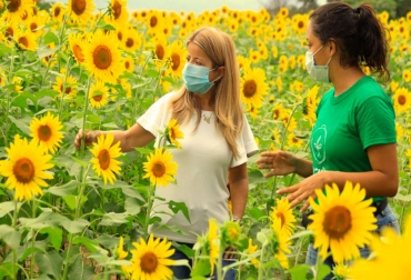El proyecto se implementará en otros municipios del departamento. Foto: Gobernación del Atlántico. Ganadería, ganadería colombia, noticias ganaderas, noticias ganaderas colombia, CONtexto ganadero, atlántico, Gobernación del Atlántico, Ruta del Girasol, 'Semillas de Vida', ruta agroturística, visitar girasoles en Colombia, cultivos de girasol en atlántico