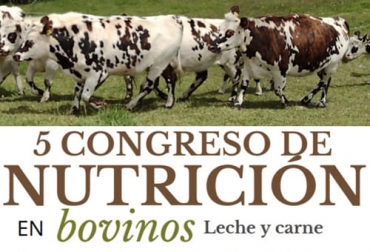 El evento se hará de forma presencial en la ciudad de Paipa (Boyacá) así como también se ofrecerán cupos para asistir de forma virtual desde cualquier lugar de Colombia o el mundo. Foto: Cortesía Quinto congreso nacional de alimentación y nutrición en bovinos, Nutrición en bovinos congreso, congreso nutrición bovinos, congreso nutrición bovinos 2021, congreso nutrición y alimentación bovinos carne y leche, Eventos ganaderos septiembre 2021, ganado bovino, ganadería bovina, carne, leche, ganaderos, ganaderos colombia, ganado, vacas, vacas Colombia, bovinos, Ganadería, ganadería colombia, noticias ganaderas, noticias ganaderas colombia, CONtexto ganadero, contextoganadero