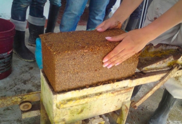 El trabajo se viene haciendo de forma manual, pero la idea es tecnificar el proceso y aumentar la capacidad de venta de los bloques. Foto: honduganado.com Ganadería, ganadería colombia, noticias ganaderas, noticias ganaderas colombia, CONtexto ganadero, forraje de yuca, bloque nutricional con forraje de yuca, hoja de yuca para alimentacion animal, intoxicacion por yuca en bovinos, yuca para alimentar gallinas, yuca picada para vacas lecheras, bagazo de yuca, animales que comen yuca, harina de hoja de yuca, como hacer harina de yuca para cerdos, Comité de Ganaderos de Cartagena del Chairá, universidad nacional, agencia de noticias unimedios