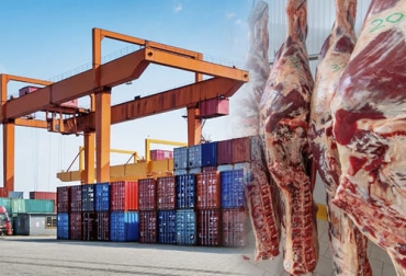El puntal exportador de carne y ganado en pie colombiano no se ha detenido y hará que este año culmine con las mejores cifras en una década. Foto: lanacion.com.ar - uexternado.edu.co exportaciones de carne 2021, exportaciones carne 2021, exportaciones carne, exportaciones carne Colombia 2021, Exportación carne 2021, exportaciones carne 2021, exportación de bovinos Colombia, exportación carne bovina, carne vacuna, total exportaciones carne Colombia, ganado bovino, ganadería bovina, carne, leche, ganaderos, ganaderos colombia, ganado, vacas, vacas Colombia, bovinos, Ganadería, ganadería colombia, noticias ganaderas, noticias ganaderas colombia, CONtexto ganadero, contextoganadero