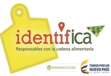 El programa IdentifICA ha priorizado la identificación de bovinos y bufalinos en los departamentos ubicados en la frontera con Venezuela para combatir el flagelo del contrabando en todo el corredor limítrofe. Foto: ICA Identifica, ICA, trazabilidad Colombia, Cifras Identifica noviembre 2021, Trazabilidad, trazabilidad bovina Identifica 2021, fedegan, avances de trazabilidad, trazabilidad bovina colombia, trazabilidad bovina noticias, trazabilidad bovina ica colombia, trazabilidad bovina fedegán, trazabilidad bovina ica avances, ganaderos, ganaderos colombia, ganado, vacas, vacas Colombia, bovinos, ganado bovino, Ganadería, ganadería colombia, noticias ganaderas, noticias ganaderas colombia, CONtexto ganadero, contextogana
