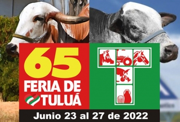 Las actividades de la 65 Feria de Tuluá incluyen juzgamientos de ganado gyr y gyrolando. Foto: facebook.com/TuluaFeria - nutrimaxcr.com - razasbovinasdecolombia.weebly.com 65 feria de tulua 2022