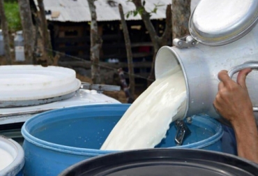 En mayo los indicadores de comercio formal de leche en Córdoba y Sucre decayeron, tanto el precio por litro así como el índice de precio al productor. Foto: agropopular.com acopio de leche en córdoba y sucre en mayo de 2022