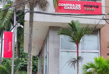 Minerva Foods abrió oficina para compra de ganado en Villavicencio, capital del Meta, para impulsar la ganadería local, impulsando el sector económico. Foto: Cortesía oficina de Minerva Foods en Villavicencio