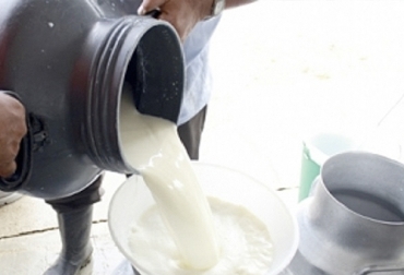 El acopio industrial, que venía creciendo en el Caribe y a nivel nacional, se redujo, y el precio nominal sin bonificación siguió el mismo comportamiento observado en la subregión. Foto: agronet.gov.co comercio de leche en cordoba y sucre en junio de 2022