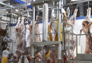 El Instituto Nacional de Vigilancia de Medicamentos y Alimentos (Invima) reportó 359 mataderos y acondicionadores cerrados hasta el 30 de junio, 13 de ellos en este año. Foto: caquetaaldia.com plantas de beneficio cerradas bajo decreto 1500