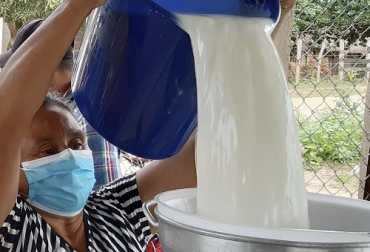 Durante julio en Córdoba y Sucre creció el índice de precio recibido por el productor, tanto el nominal con y sin bonificación como el precio real. Foto: ennuestrocampo.co acopio y precio de leche en Cordoba y Sucre en julio de 2022