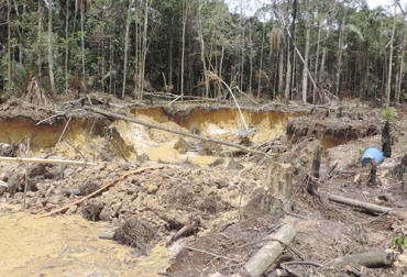 En los últimos 20 años en Colombia se han deforestado más de 3,1 millones de hectáreas, de las cuales más de 1,8 millones son de la Amazonía. Foto: radionacional.co deforestacion en Colombia