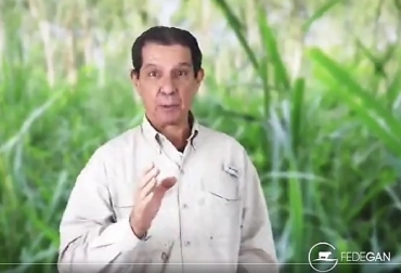 “El país tiene que tomarse en serio el tema de la invasión ilegal de tierras porque me parece que es una problemática que no contribuye ni siquiera a los propósitos del gobierno”, afirma el presidente de los ganaderos. Foto: captura video Fedegán José Félix Lafaurie Rivera, presidente ejecutivo de Fedegán