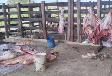 En uno de los mataderos clandestinos desmantelados se sacrificaban semanalmente entre 10 a 15 reses. Foto: La Voz de la Región - Imágen de referencia matadero