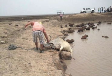 Según el Ideam hay un 70% de probabilidades de que en julio inicie el Fenómeno del Niño. Foto: Fedegán. Sequía en Casanare