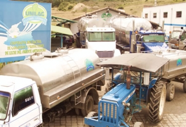 Serán 250 productores lecheros los que se van a ver afectados con la medida. Foto: Unilac. Acopio de leche