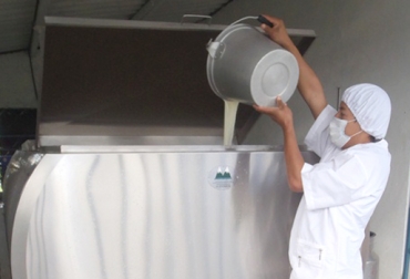 40 productores del municipio y de 2 corregimientos aledaños se van a beneficiar con la iniciativa. Foto: Sena. Acopio de leche