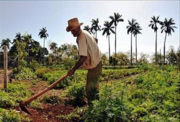 El Valle proyecta sembrar 3.000 hectáreas adicionales este año de productos orientados a la exportación. Foto: Archivo. El Valle tiene sembradas alrededor de 30.000 hectáreas en frutas.