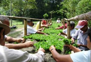 Aves de corral, peces, ganado, animales de engorde y semillas serán entregadas a familias vulnerables. Foto: MinAgricultura Sector agropecuario en Putumayo