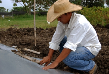 Reactivar el agro caucano es el compromiso del secretario de Desarrollo Agropecuario, Anibal Melo. Foto: Unimedios. Reactivar el agro
