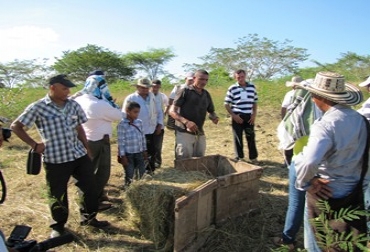 Asistegán tiene como objetivo generar bienestar a comunidades de pequeños ganaderos, mediante la prestación del servicio de extensión. Foto: Juan Fernando Cardona Mejía. Asistencia Técnica.