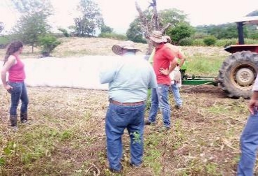 Cerca de 3.000 productores del Huila recibieron asistencia técnica con la que podrán aumentar y mejorar su producción. Foto: Laudy Pérez, Fedegán, Santander. Asistencia Técnica
