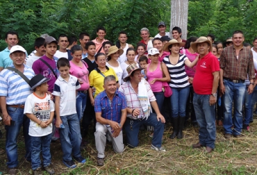 Hasta el mes de agosto se realizarán estas jornadas que benefician a más de 200 ganaderos. Foto: Claudia Ramírez Bernal. bancos mixtos forrajeros
