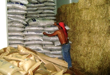 El lunes entró en funcionamiento esta bodega con suplementos alimenticios como melaza, heno y Mezclagán. Foto: Archivo. El lunes entró en funcionamiento esta bodega con suplementos alimenticios como melaza, heno y Mezclagán. Foto: Archivo.
