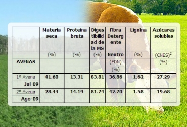 El estudio de suelo y forrajes es el primer paso para tener ganancia nutricional en el predio ganadero. Foto: CONtexto ganadero. estudio de suelo bromatología