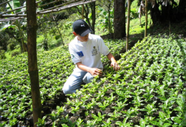 Cafeteros afrontan fuerte crisis en el sector. Foto: federaciondecafeteros.org Paro cafetero en Colombia.
