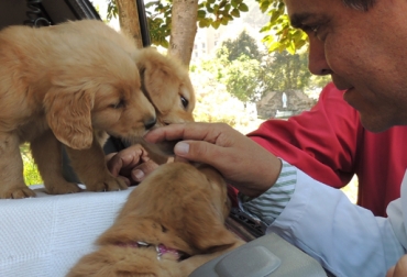 Según una investigación realizada por Fenalco de cada 10 colombianos 4 tienen mascota. Foto: Unisalle. call center mascotas colombia