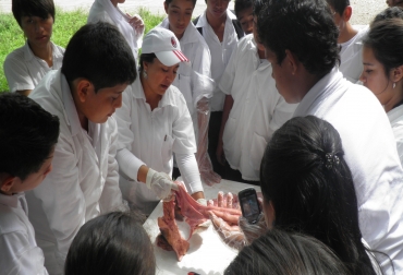 Desde el pasado 15 de julio, profesionales de la Alcaldía orientan la formación de estudiantes en problemáticas ambientales y formación agropecuaria. Foto: Alcaldía de Yopal Capacitación en prácticas ganaderas a jóvenes de Yopal